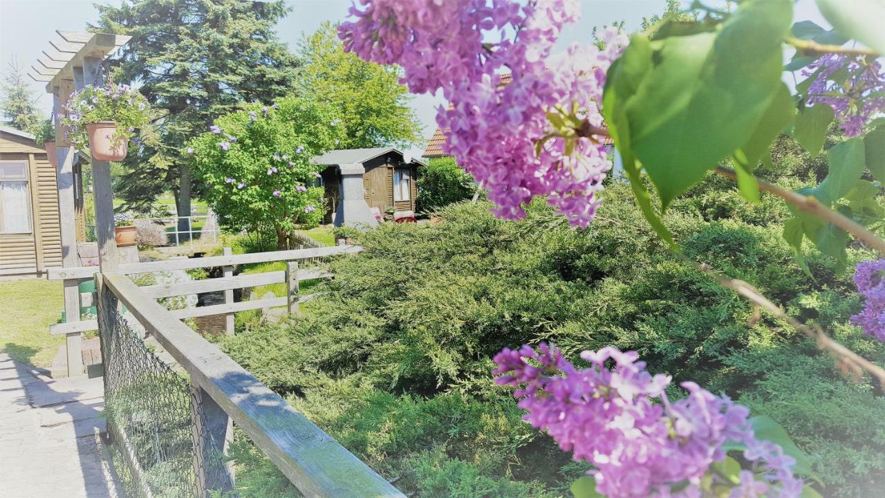 Urlaub Beim Schmied Apartment Kuehlungsborn Ngoại thất bức ảnh
