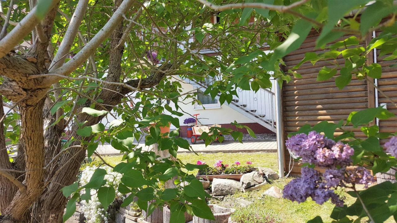 Urlaub Beim Schmied Apartment Kuehlungsborn Ngoại thất bức ảnh