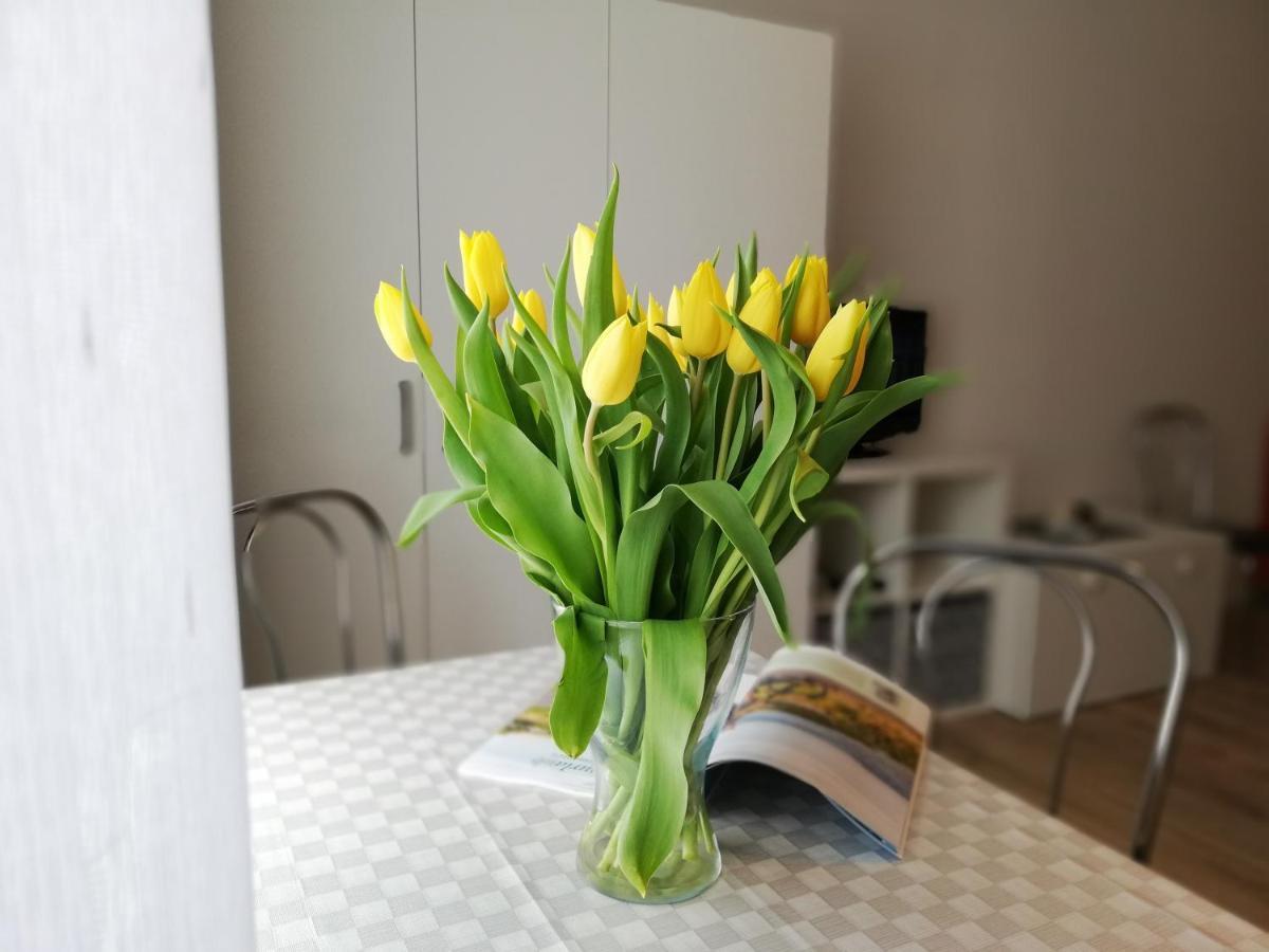 Urlaub Beim Schmied Apartment Kuehlungsborn Ngoại thất bức ảnh